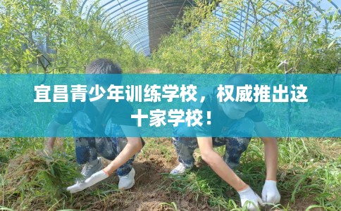 宜昌青少年训练学校，权威推出这十家学校！