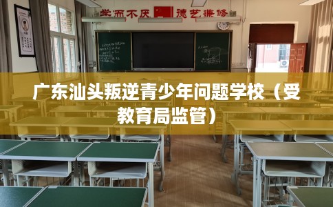 广东汕头叛逆青少年问题学校（受教育局监管）