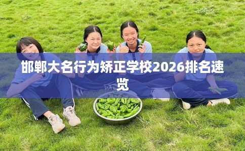 邯郸大名行为矫正学校2026排名速览