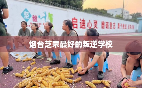 烟台芝罘最好的叛逆学校