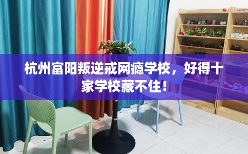杭州富阳叛逆戒网瘾学校，好得十家学校藏不住！