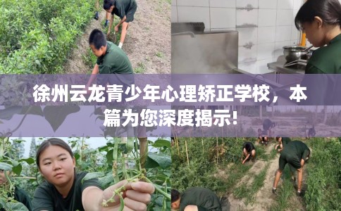 徐州云龙青少年心理矫正学校，本篇为您深度揭示!