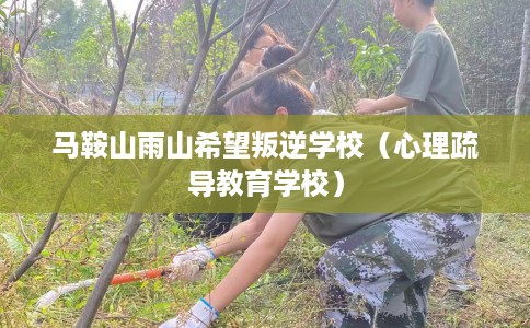 马鞍山雨山希望叛逆学校（心理疏导教育学校）