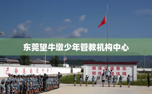 东莞望牛墩少年管教机构中心