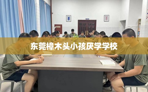 东莞樟木头小孩厌学学校