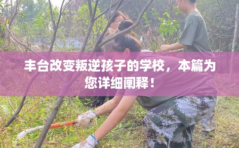 丰台改变叛逆孩子的学校，本篇为您详细阐释！
