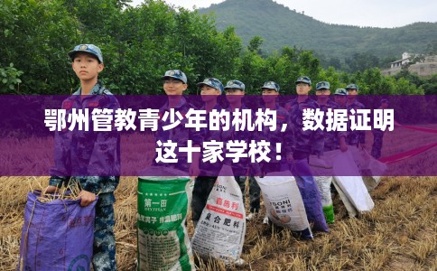 鄂州管教青少年的机构，数据证明这十家学校！
