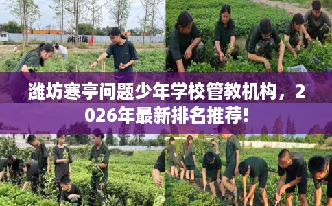 潍坊寒亭问题少年学校管教机构，2026年最新排名推荐!