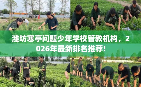 潍坊寒亭问题少年学校管教机构，2026年最新排名推荐!