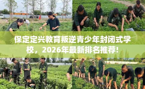 保定定兴教育叛逆青少年封闭式学校，2026年最新排名推荐!