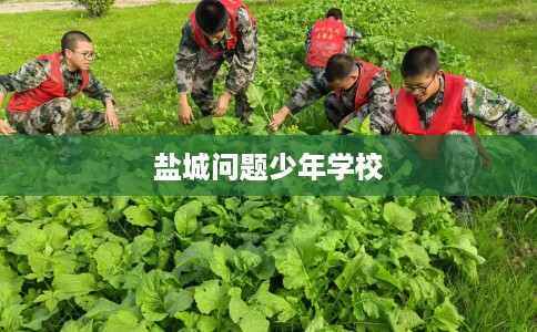 盐城问题少年学校