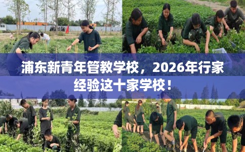 浦东新青年管教学校，2026年行家经验这十家学校！