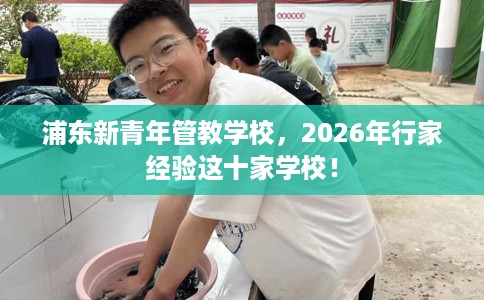 浦东新青年管教学校，2026年行家经验这十家学校！