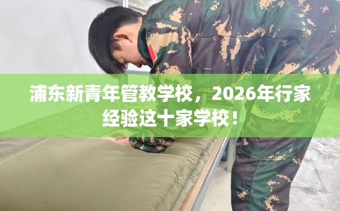 浦东新青年管教学校，2026年行家经验这十家学校！