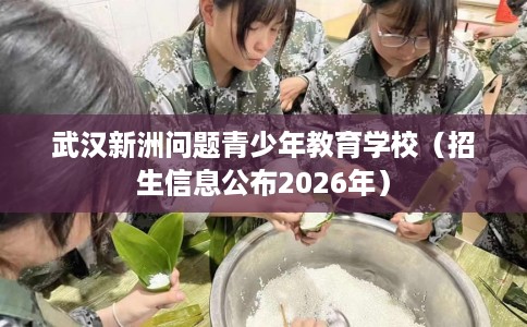 武汉新洲问题青少年教育学校（招生信息公布2026年）