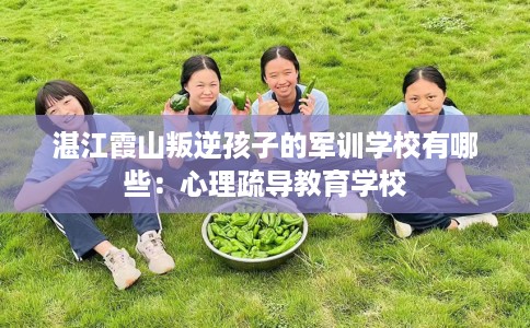 湛江霞山叛逆孩子的军训学校有哪些：心理疏导教育学校