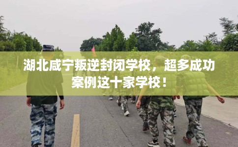 湖北咸宁叛逆封闭学校，超多成功案例这十家学校！