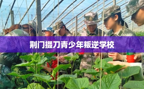 荆门掇刀青少年叛逆学校