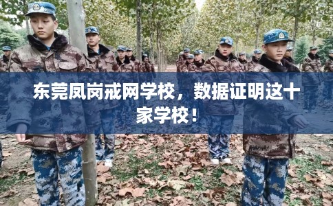 东莞凤岗戒网学校，数据证明这十家学校！