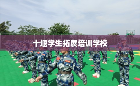 十堰学生拓展培训学校