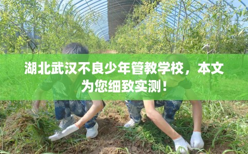 湖北武汉不良少年管教学校，本文为您细致实测！