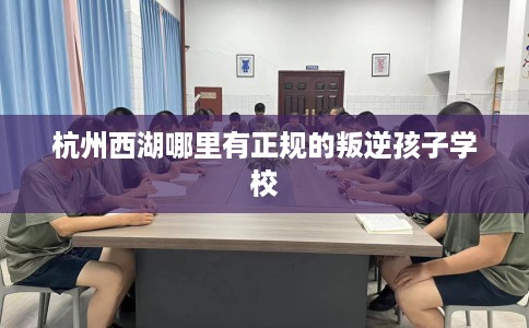 杭州西湖哪里有正规的叛逆孩子学校