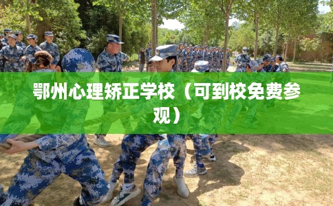 鄂州心理矫正学校（可到校免费参观）