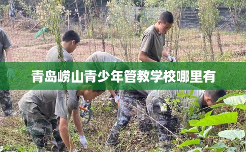 青岛崂山青少年管教学校哪里有