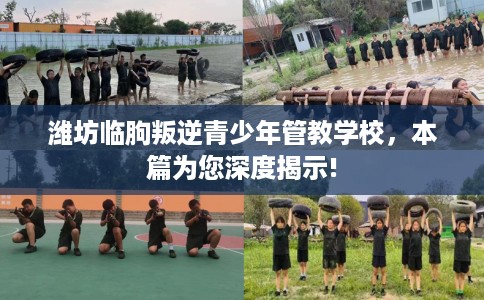 潍坊临朐叛逆青少年管教学校，本篇为您深度揭示!