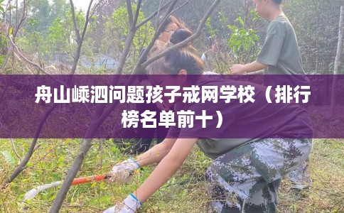 舟山嵊泗问题孩子戒网学校（排行榜名单前十）