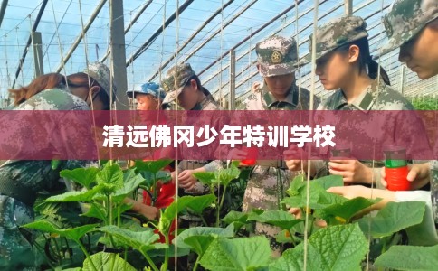 清远佛冈少年特训学校