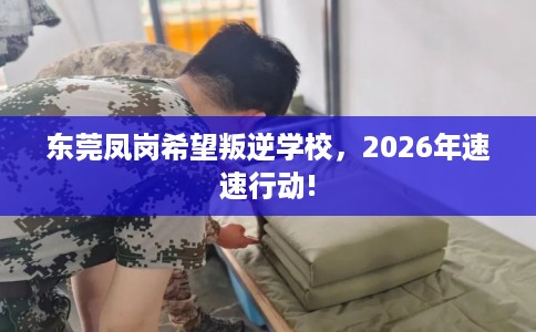 东莞凤岗希望叛逆学校，2026年速速行动!