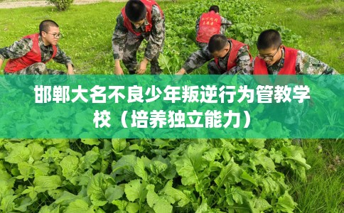 邯郸大名不良少年叛逆行为管教学校（培养独立能力）