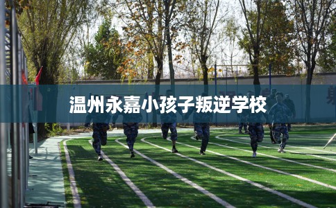 温州永嘉小孩子叛逆学校