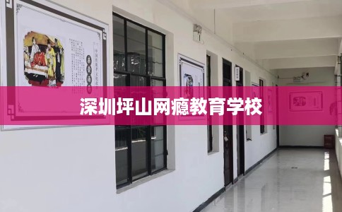 深圳坪山网瘾教育学校