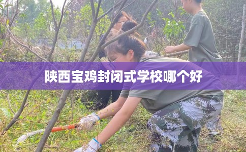 陕西宝鸡封闭式学校哪个好