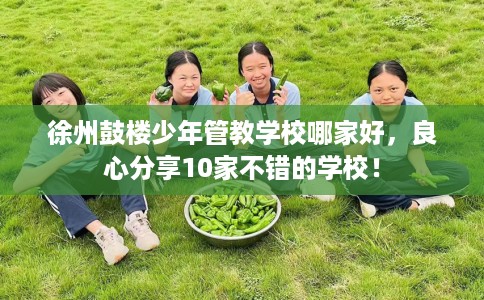 徐州鼓楼少年管教学校哪家好，良心分享10家不错的学校！
