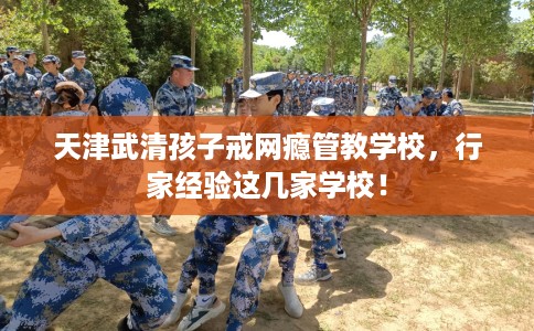 天津武清孩子戒网瘾管教学校，行家经验这几家学校！