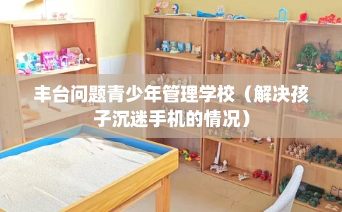 丰台问题青少年管理学校（解决孩子沉迷手机的情况）
