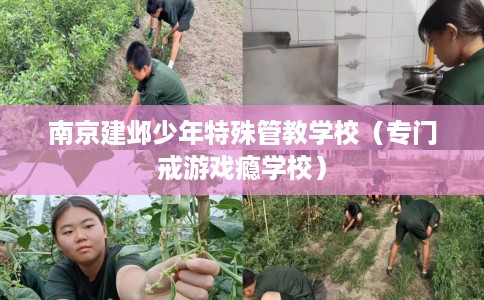 南京建邺少年特殊管教学校(专门戒游戏瘾学校) 南京建邺少年特殊管教学校(专门戒游戏瘾学校)