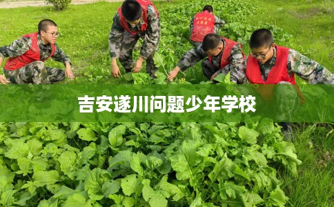 吉安遂川问题少年学校