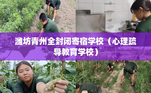潍坊青州全封闭寄宿学校（心理疏导教育学校）