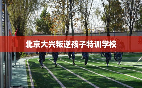 北京大兴叛逆孩子特训学校 北京大兴叛逆孩子特训学校