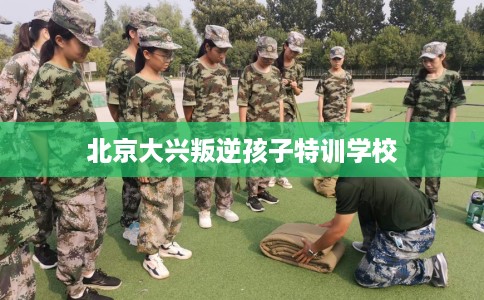 北京大兴叛逆孩子特训学校 北京大兴叛逆孩子特训学校