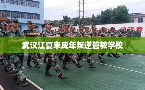 武汉江夏未成年叛逆管教学校 武汉江夏未成年叛逆管教学校