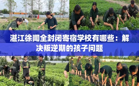 湛江徐闻全封闭寄宿学校有哪些:解决叛逆期的孩子问题 湛江徐闻全封闭寄宿学校有哪些:解决叛逆期的孩子问题