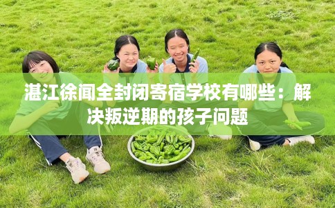湛江徐闻全封闭寄宿学校有哪些:解决叛逆期的孩子问题 湛江徐闻全封闭寄宿学校有哪些:解决叛逆期的孩子问题