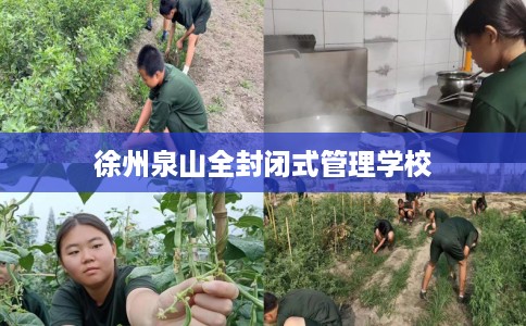 徐州泉山全封闭式管理学校 徐州泉山全封闭式管理学校