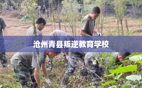 沧州青县叛逆教育学校