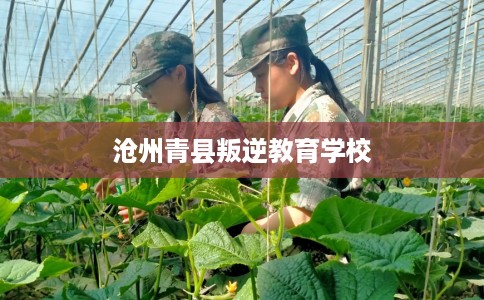 沧州青县叛逆教育学校